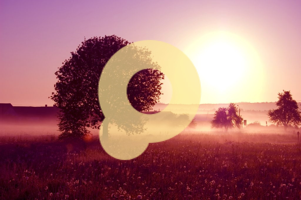 Восход солнца. Изображение дерева, купающегося в лучах восходящего солнца.