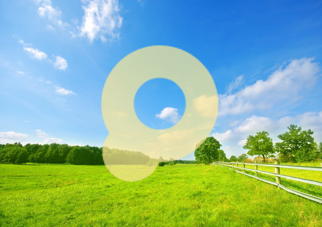 Луг с деревьями, деревянный забор