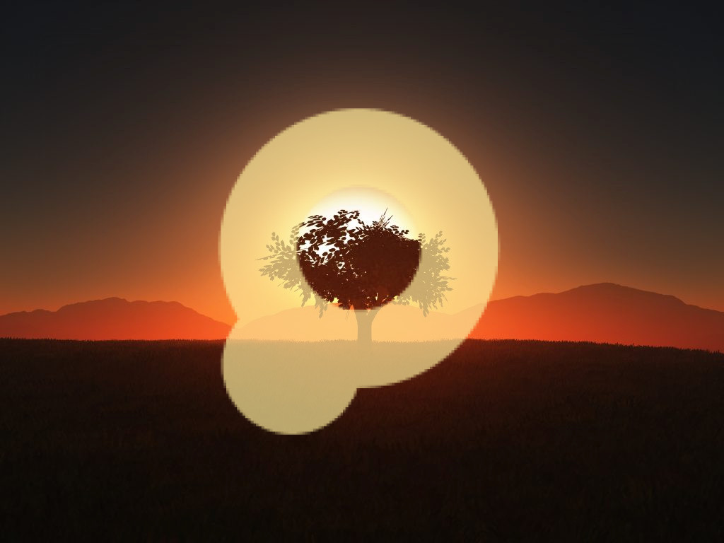 Дерево на фоне закатного неба