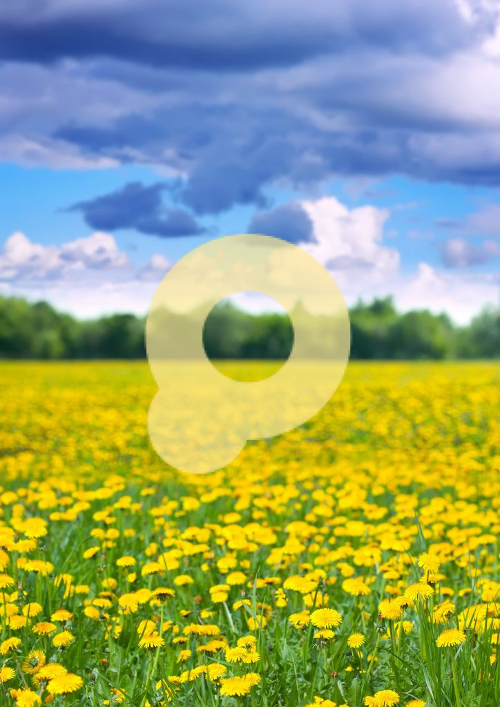 Пейзаж с одуванчиками