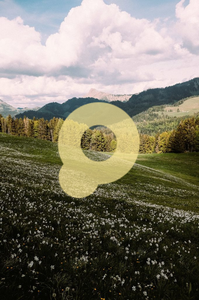 Вертикальный снимок скошенного луга на фоне гор