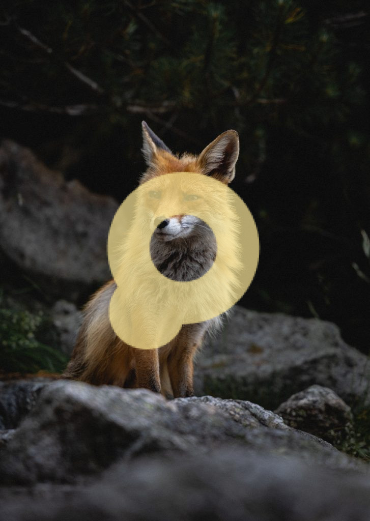 Вертикальный снимок лисы, идущей по камням в лесу